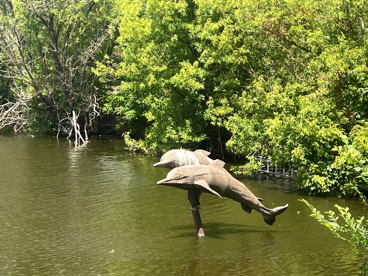 Озеро украшают фигурки дельфинов