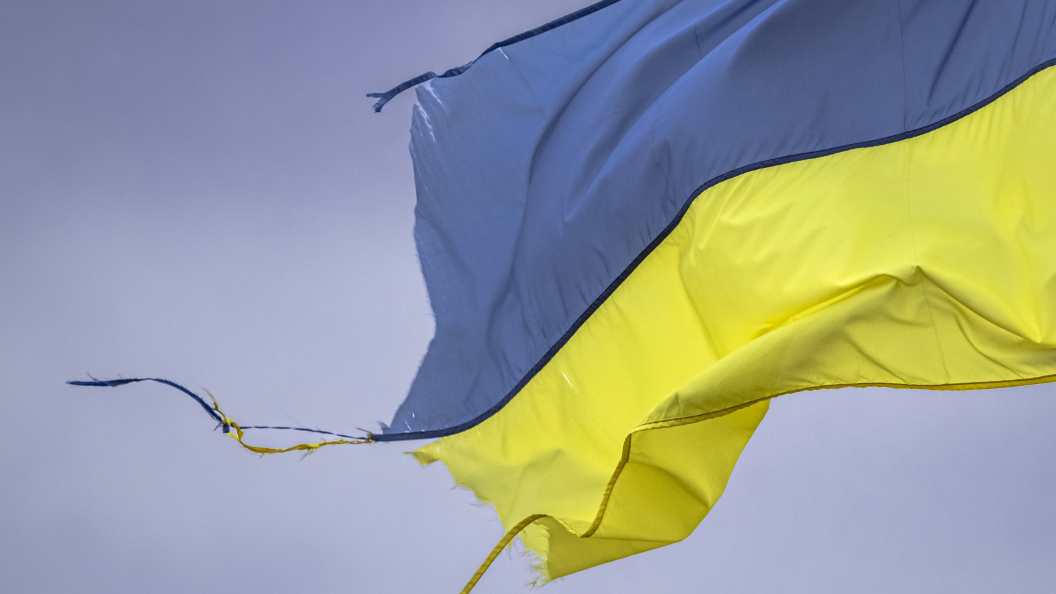    Фото: Larysa Shcherbyna/shutterstock.com