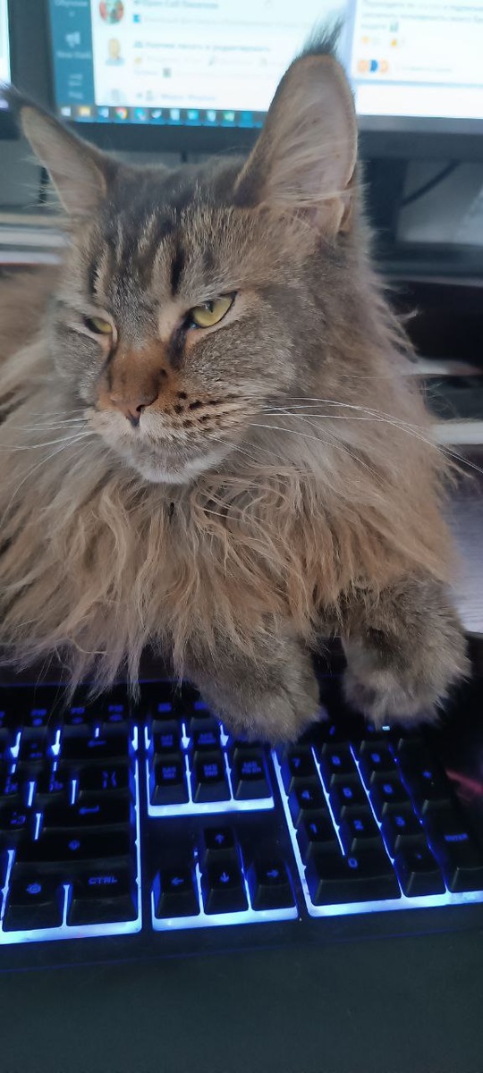 Думаю, как их вести-то...