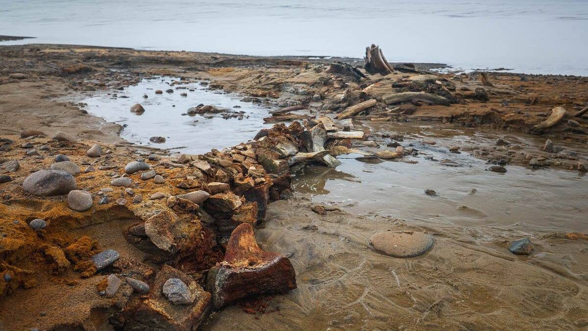    Фото: Минприроды России