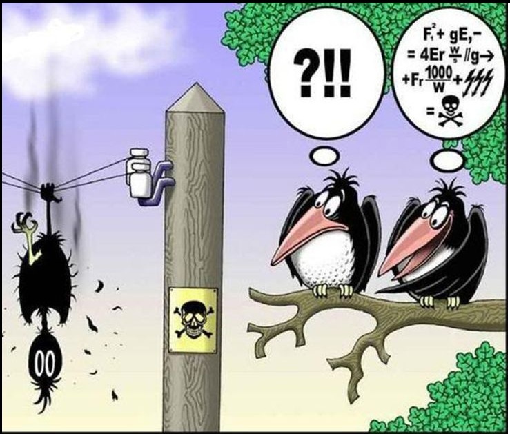 Электрический ток возникает, когда есть разность потенциалов и путь для прохождения заряда – то есть существует замкнутая цепь.