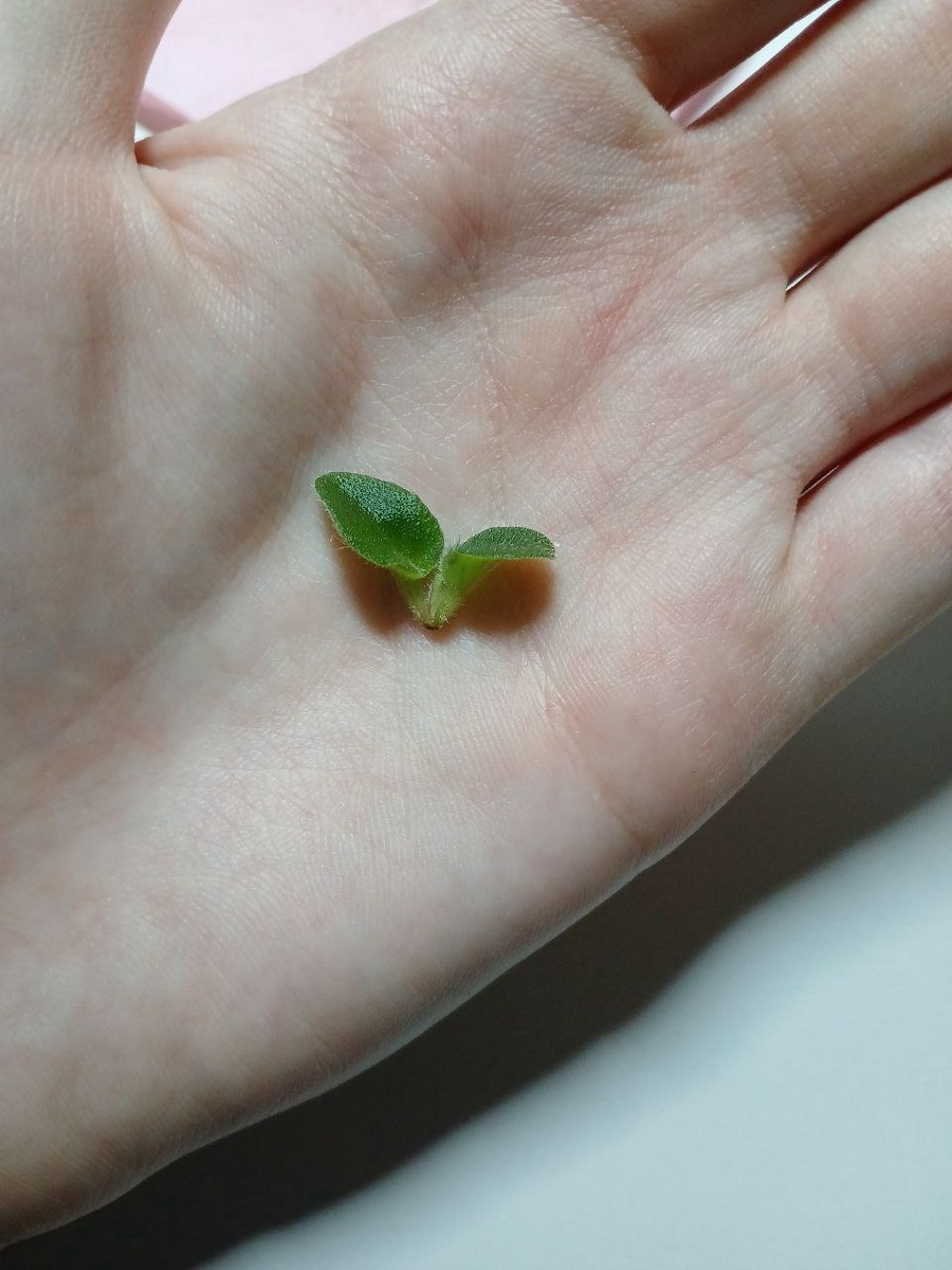 Листайте дальше 👉👉👉