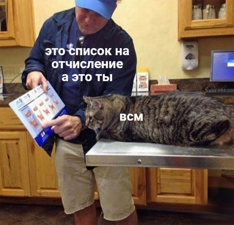 Котик