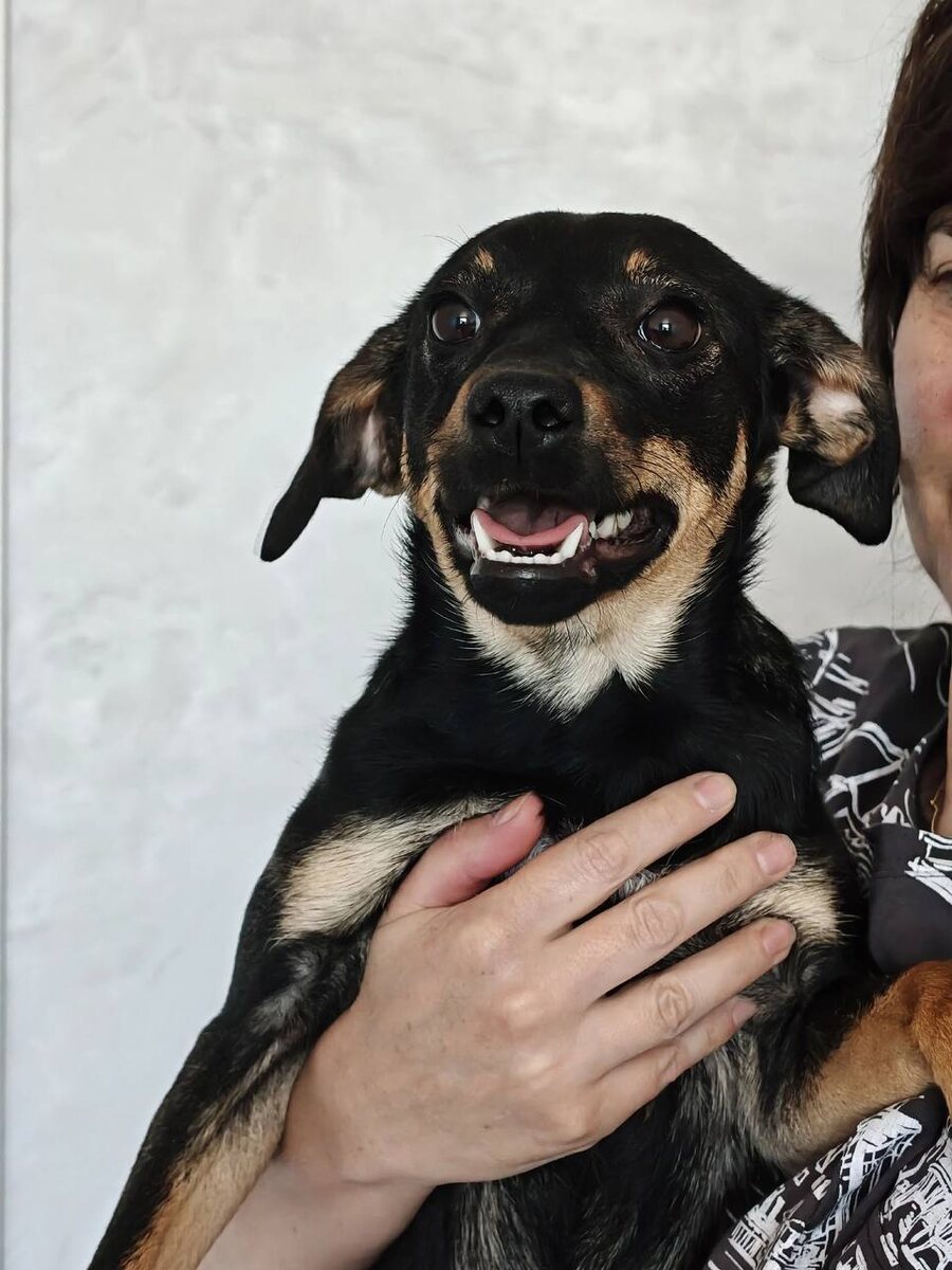 Добродушная Джесси. Фото из архива автора