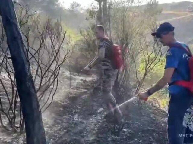    Фото: телеграм-канал "МЧС России"