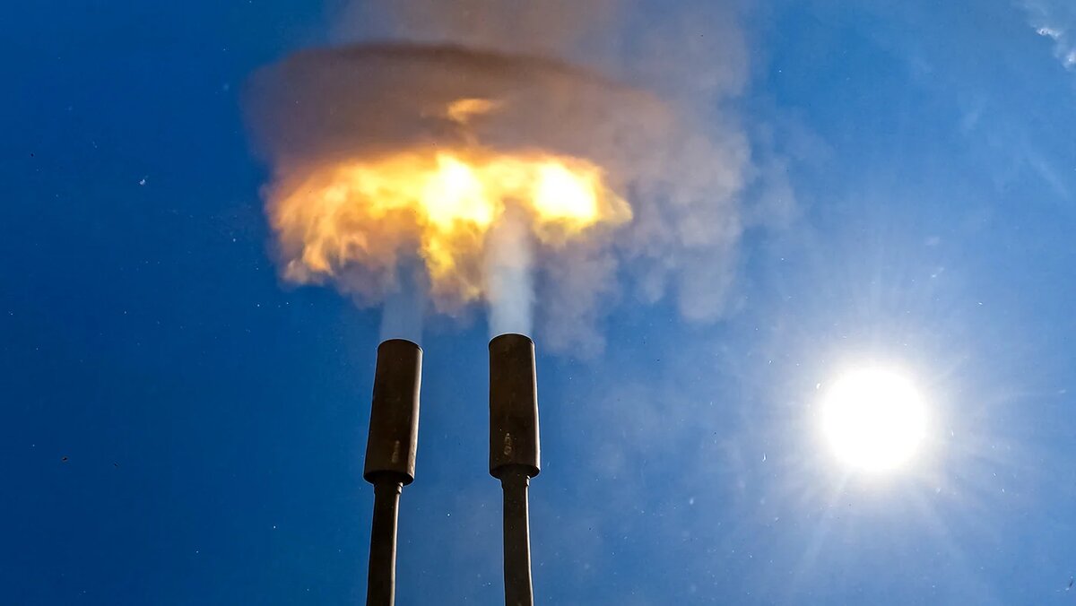   Алексей Коновалов / ТАСС- Архивное фото