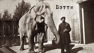 Сотрудница Ленинградского зоопарка с животным во время блокады Ленинграда.