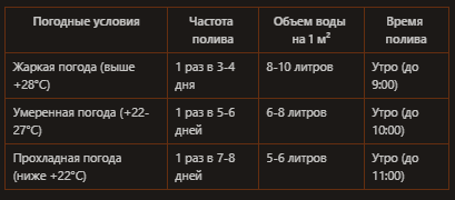 Полив томатов в августе