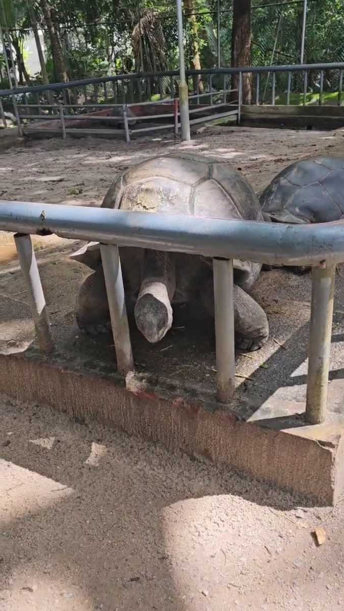 Ну ведь реально как каменная!