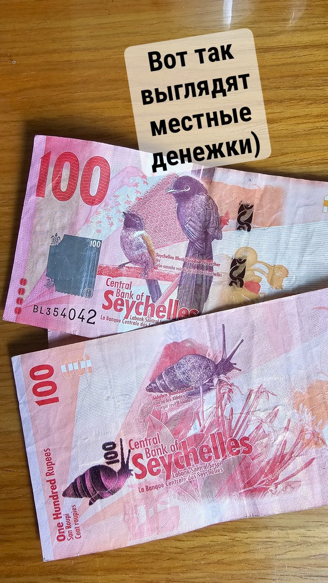 Птички, улиточки... Милота же?)) С собой я привезла десятку)