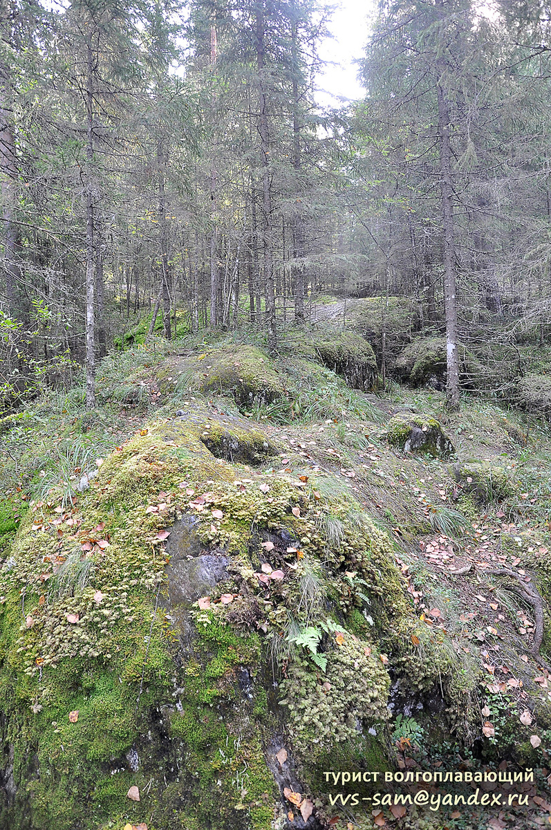 Фото 03.09.2024.