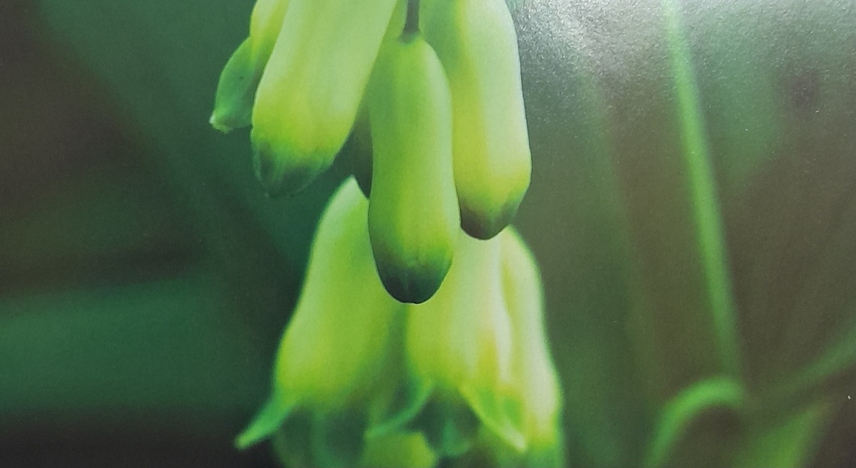 Фото автора канала