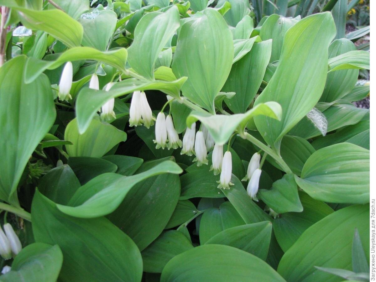 Фото из свободного источника