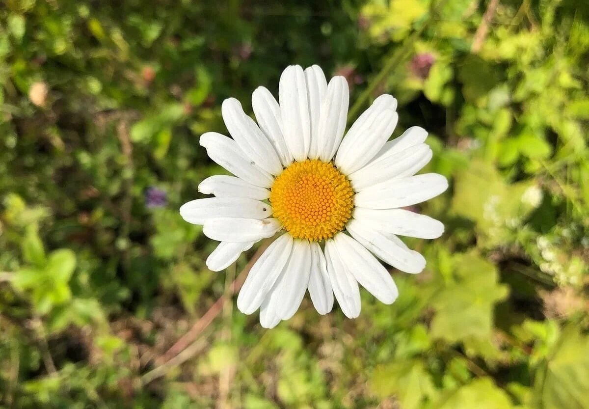 Фото: UfacityNews.ru