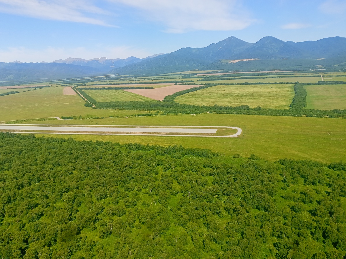 Камчатка. Июль 2025. Фото автора