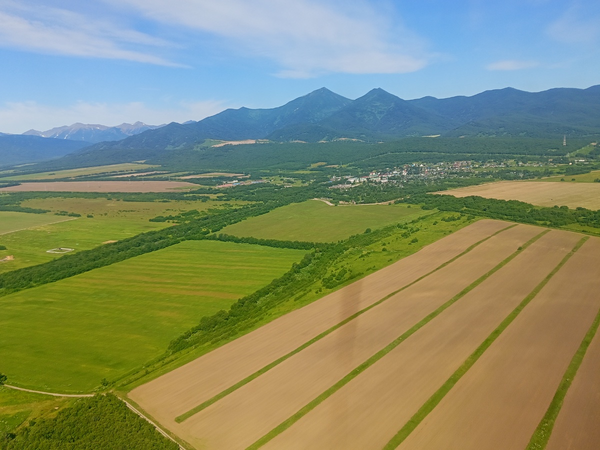 Камчатка. Июль 2025. Фото автора