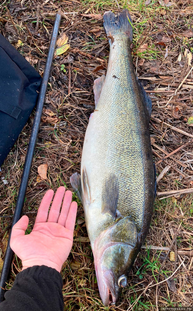 Здесь и далее фото из архива автора