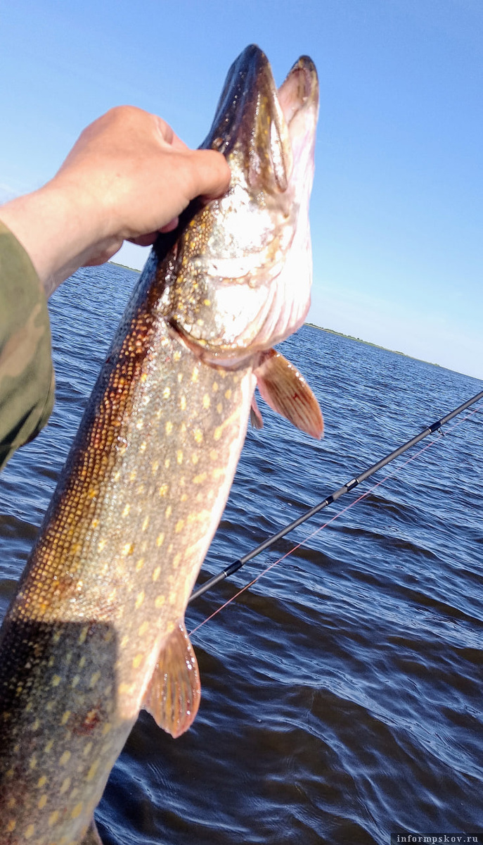 Два часа троллинга – результат ноль, пять минут джига – трёхкилограммовая щука