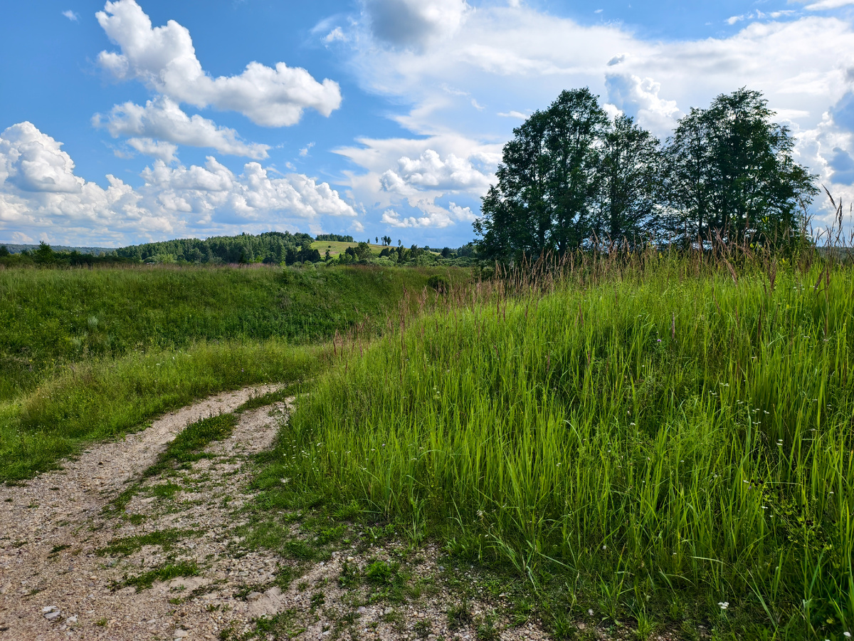 На покатушке 