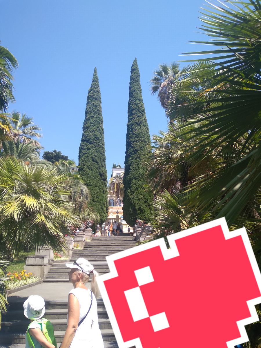 Знаменитые кипарисы