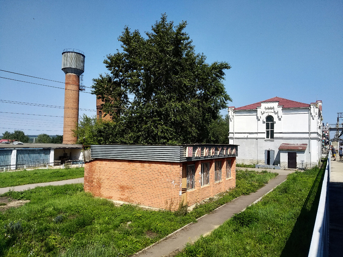 Узуново в июле 2025 года, фото автора