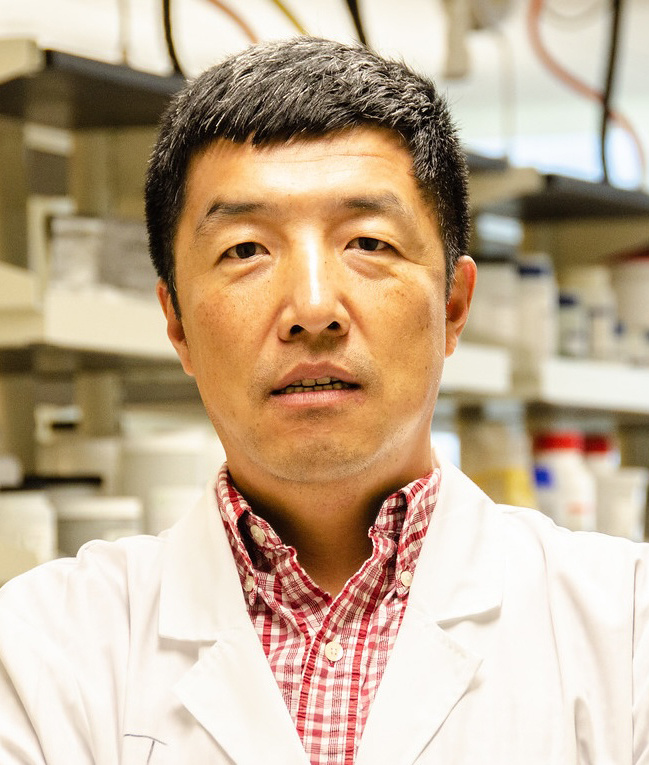 Профессор Сингбо Лю демонстрирует образец топливного элемента, выдержавшего 5000 часов в условиях высокой температуры.