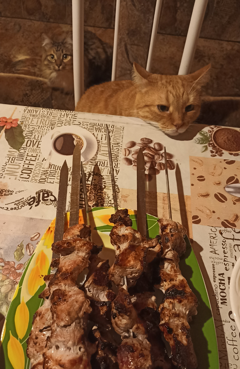 Какой же праздник без котов?