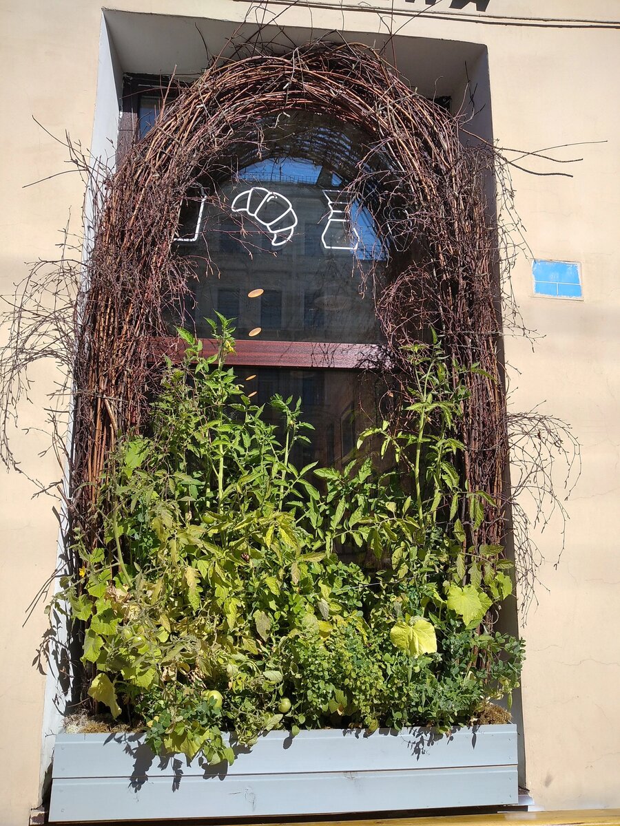 Помидорный дизайн оконного проема