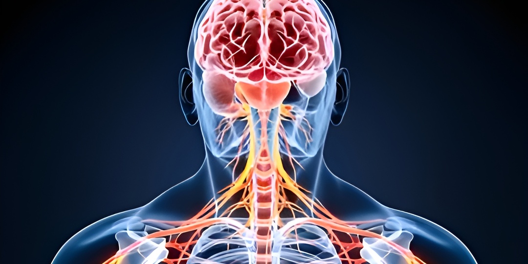 PixelVision: российские ученые сделали первый шаг к созданию цветного рентгеновского аппарата