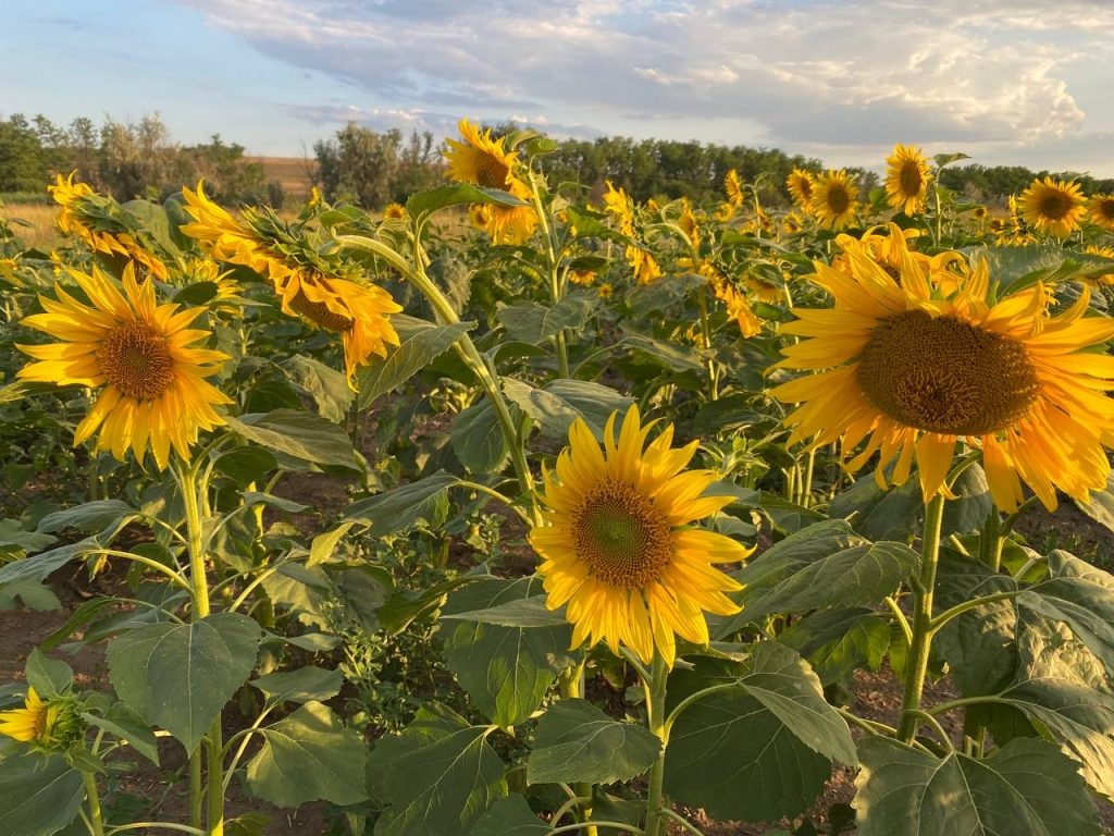   Фото: И. Куницкая. Галина Ященко