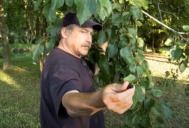    Бенджамин Кайл. Кадр: FindingBenjaman / YouTube