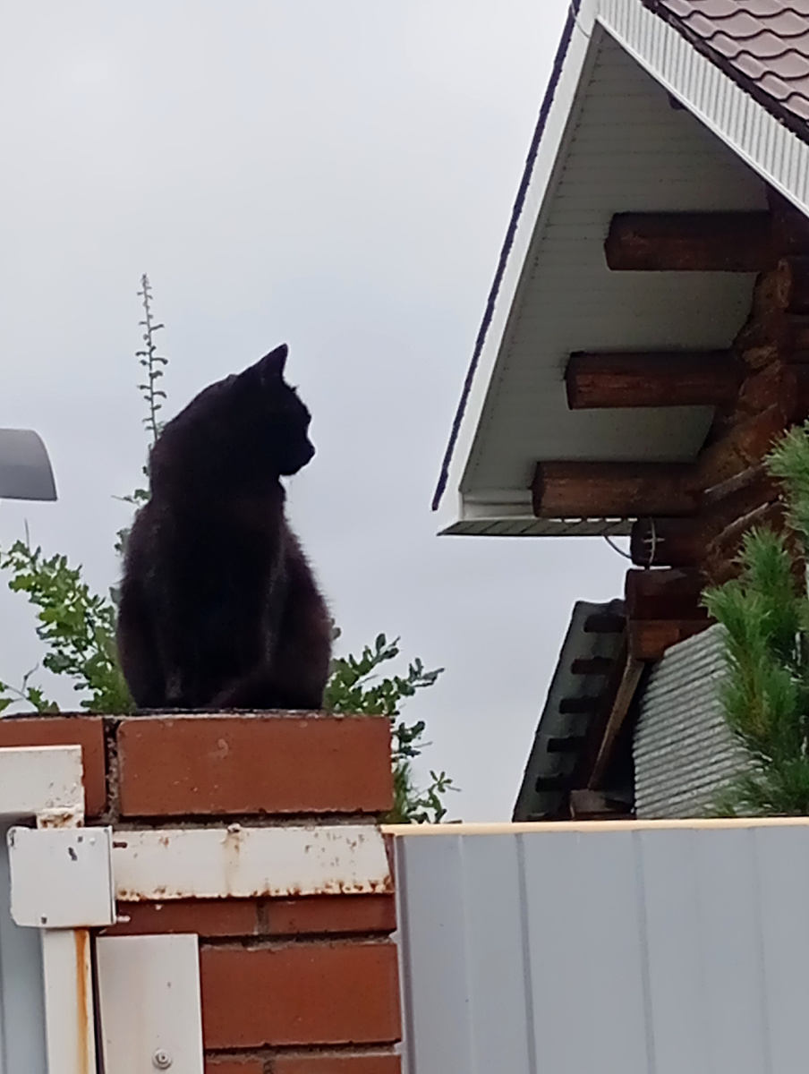 Ночка на охране территории 