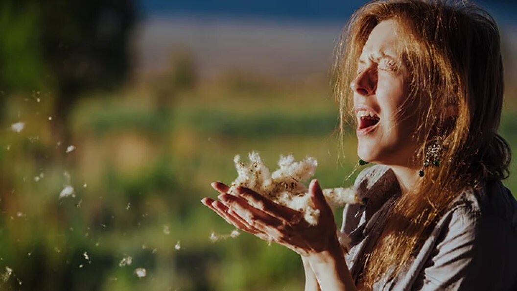    Фото: Chaossart/Shutterstock