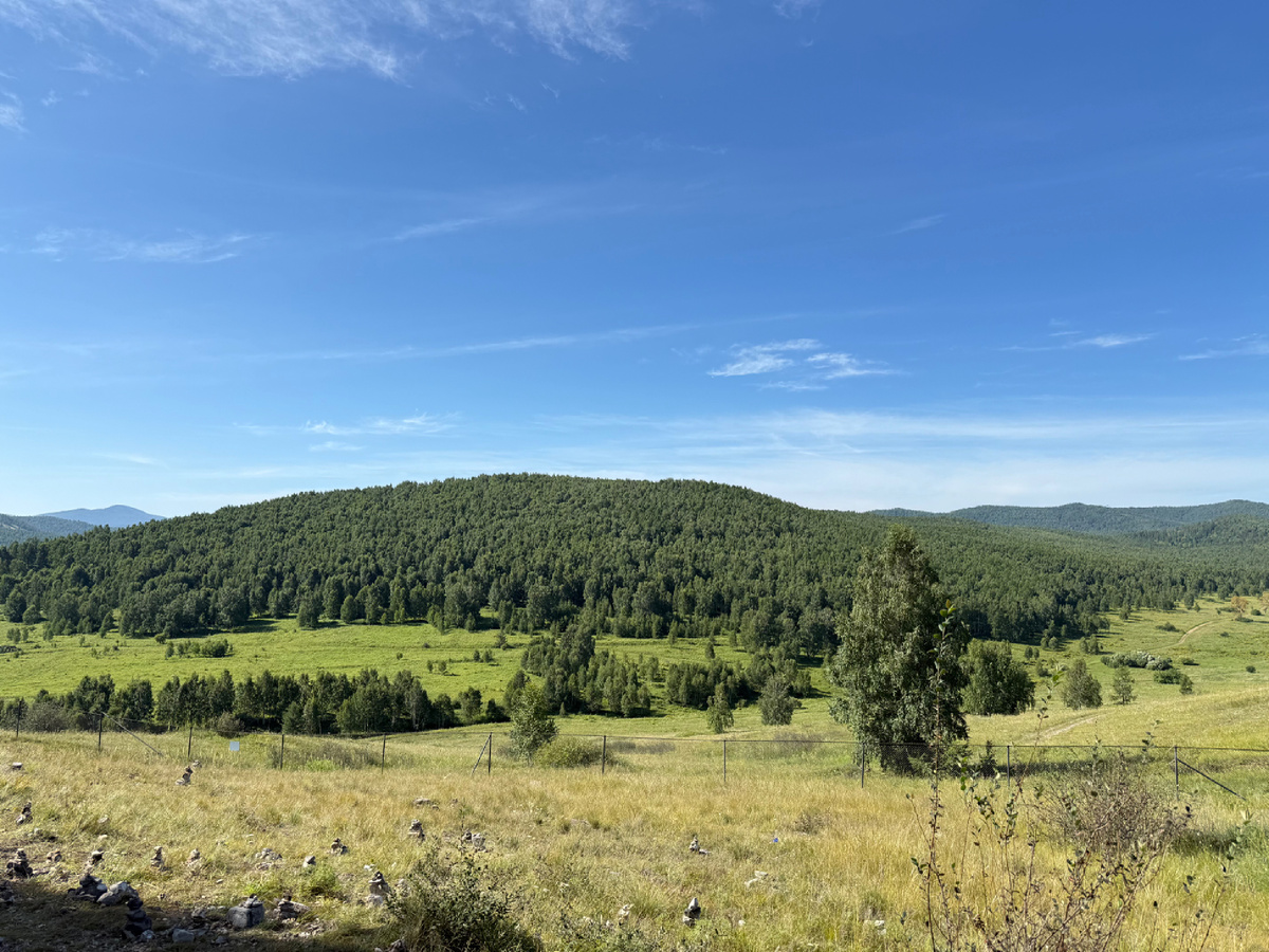 Природа вокруг провала