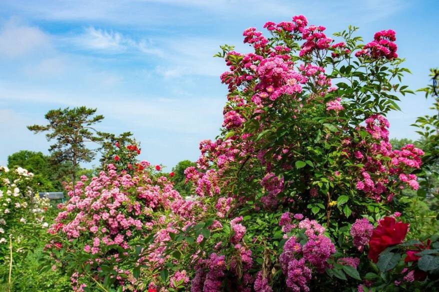    Источник фото: