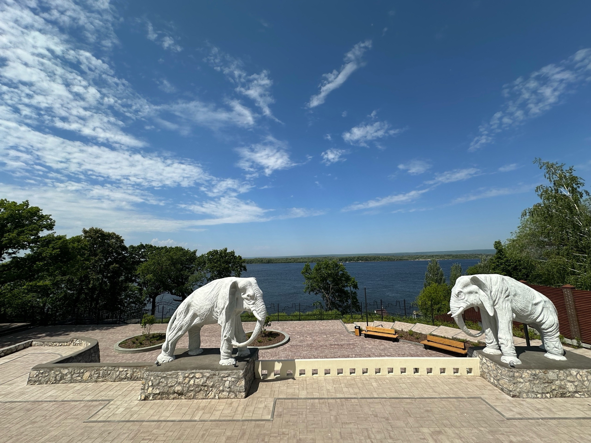 Листай галерею