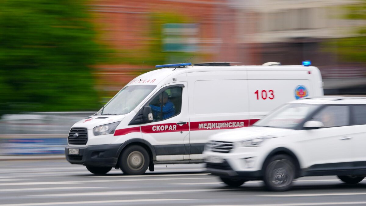    Фото: ИЗВЕСТИЯ/Дмитрий Коротаев