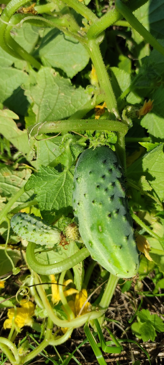 фотографии ещё тёплые