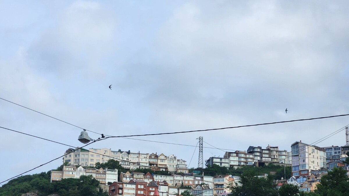     Источник: vostokmedia.com