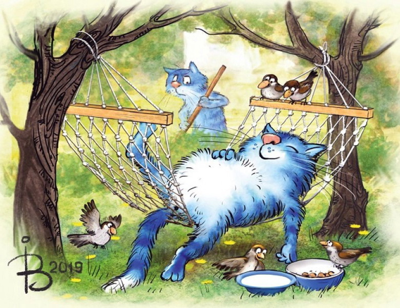 очаровательные коты Рины Зенюк