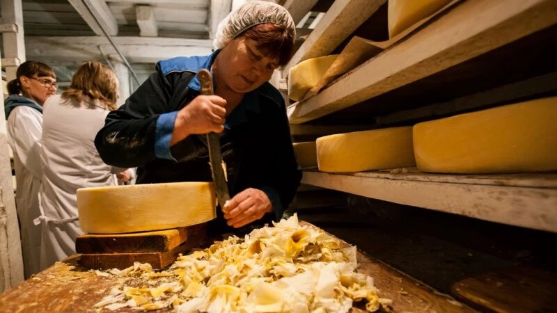     Созревание сыра. Олег Богданов