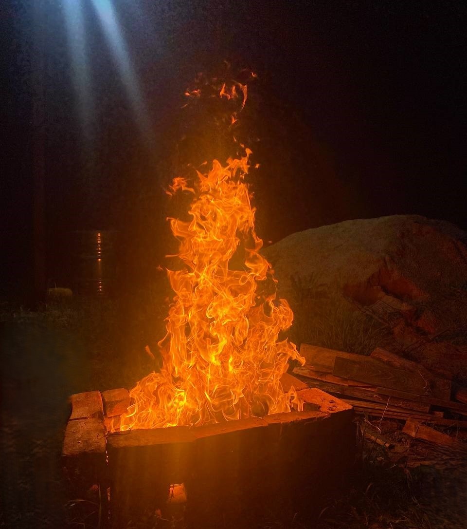 Фото Селезнёвой Валерии, жительницы села Демушкино.