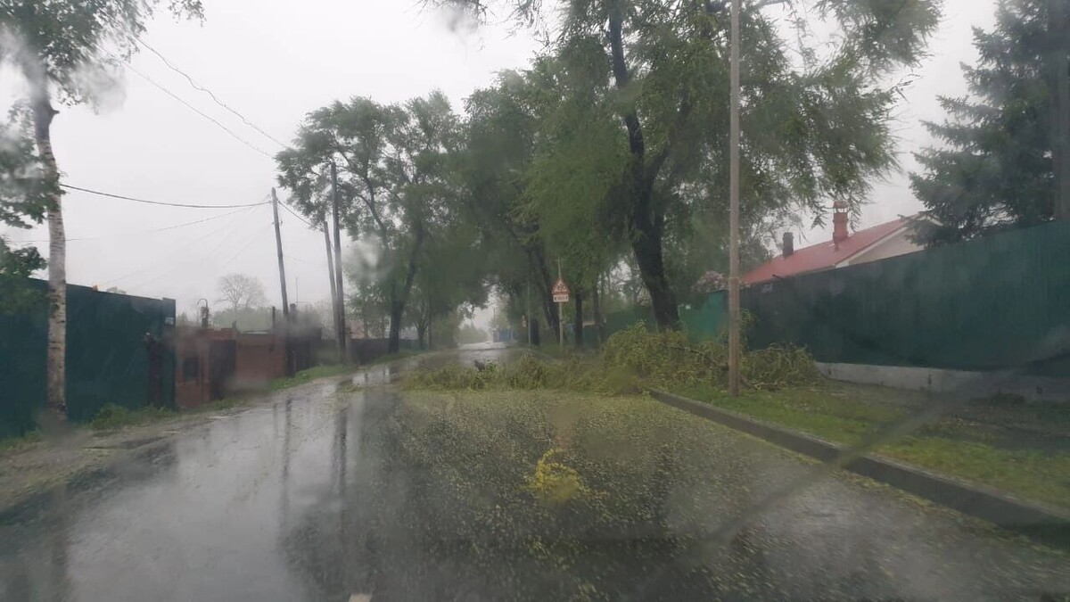     Источник: 1MI