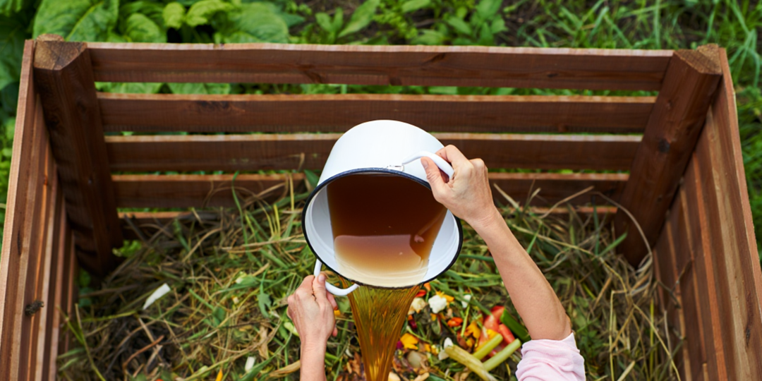 Не поверите, но теперь у меня в компосте перегнивают даже кости! Чем залить кучу в августе-сентябре