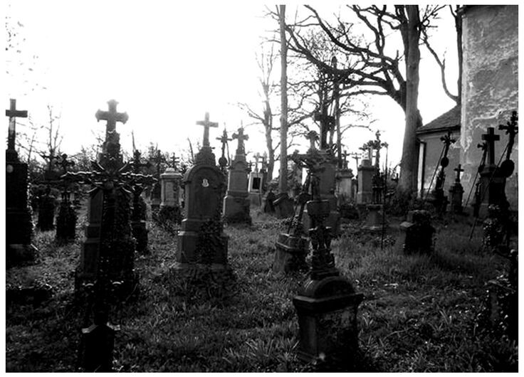 Изображение взято из открытых источников интернета. 