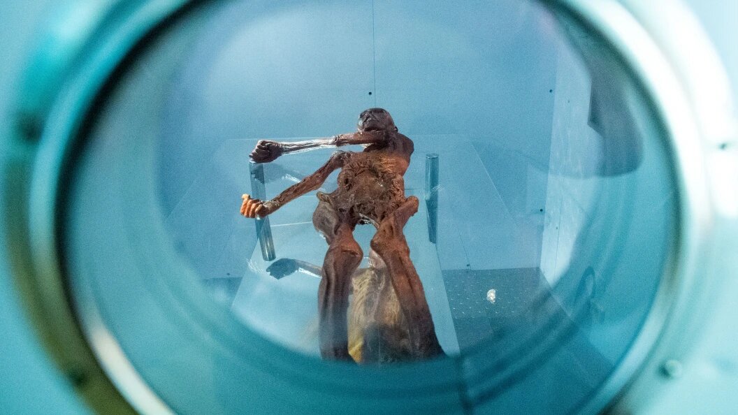    Фото: Klaus-Dietmar Gabbert/Globallookpress