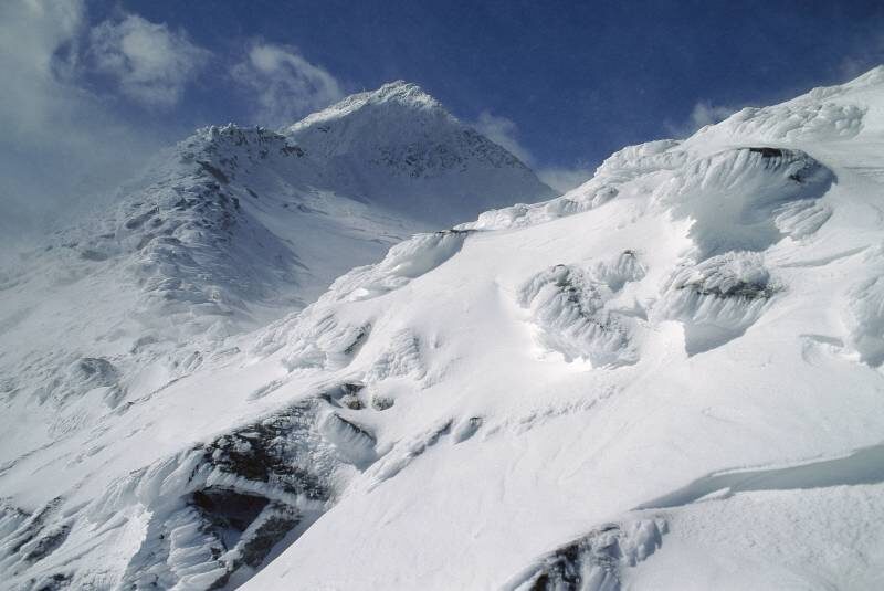    Фото: imago stock&people/Globallookpress