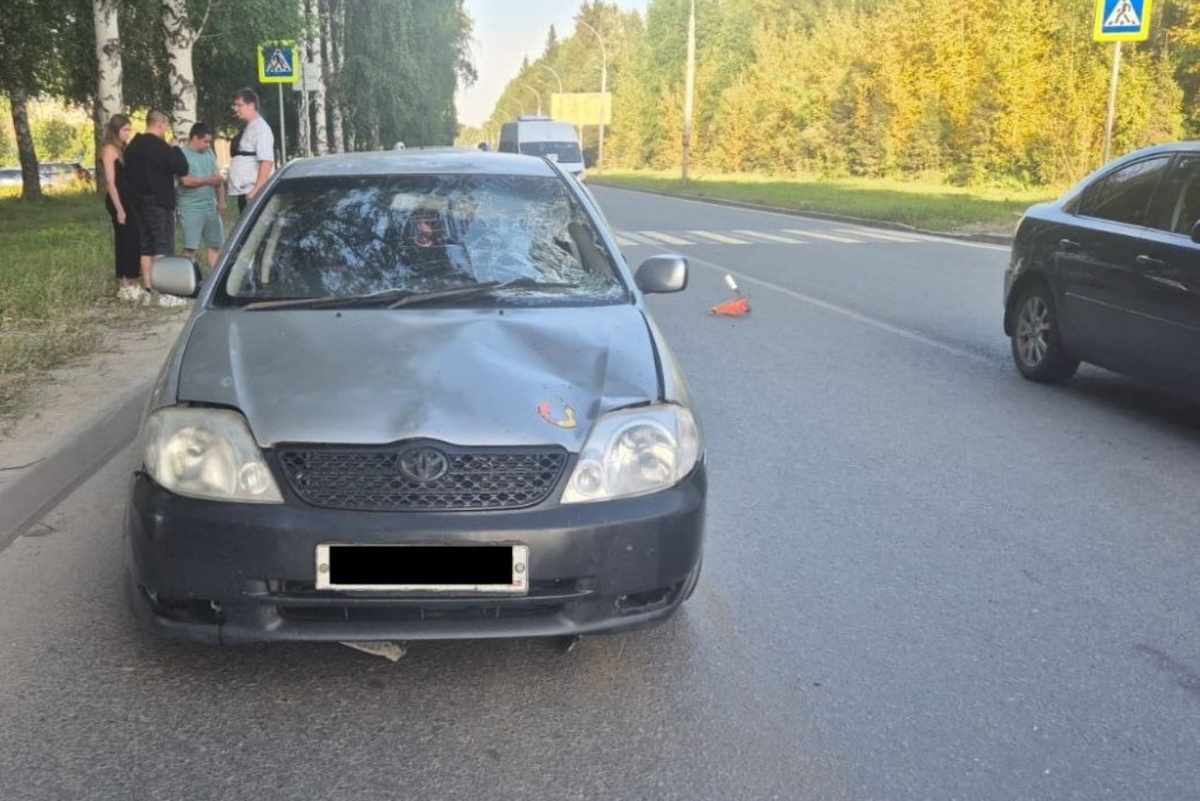    Фото: ГАИ НСО