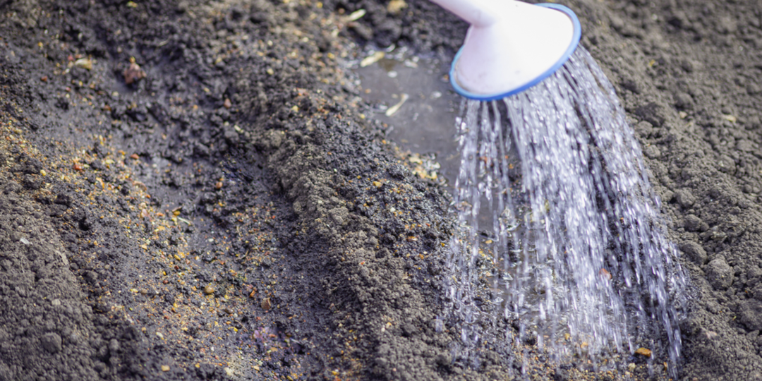 Чернозём за копейки: 1 «пузырёк» заменит 100 кг навоза. Проливаю все грядки после уборки урожая