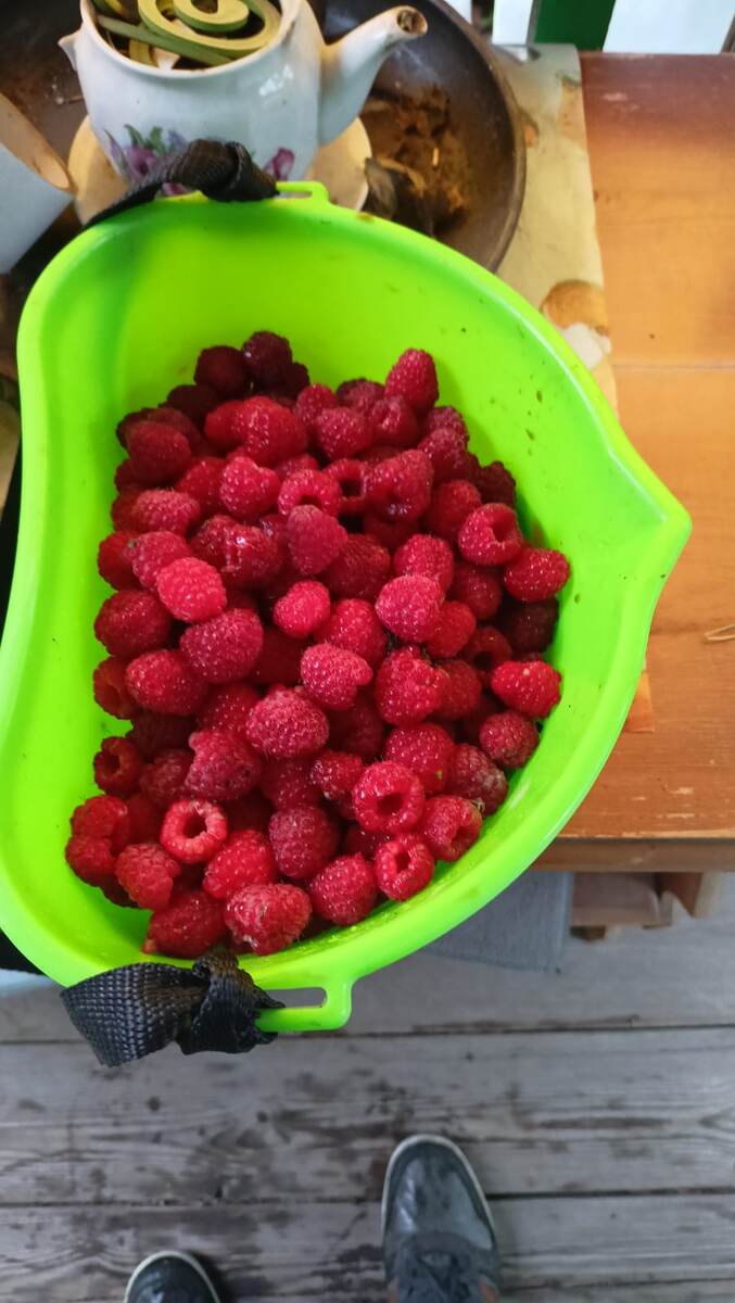 Малина ещё спеет